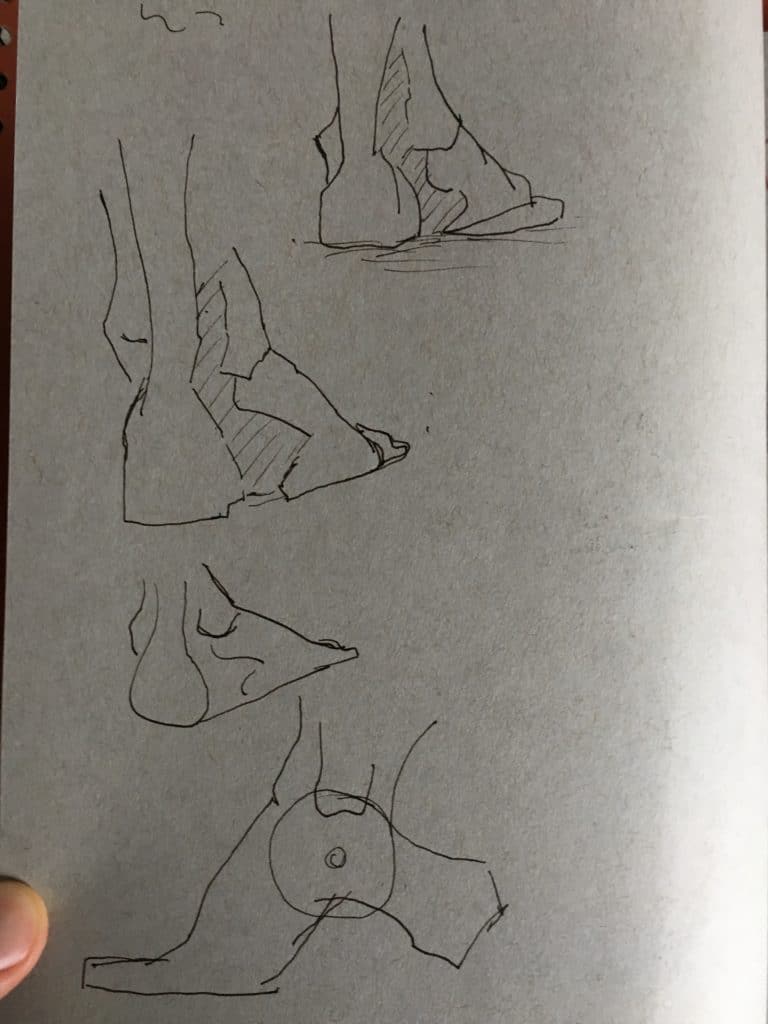 Foot anatomy drawing